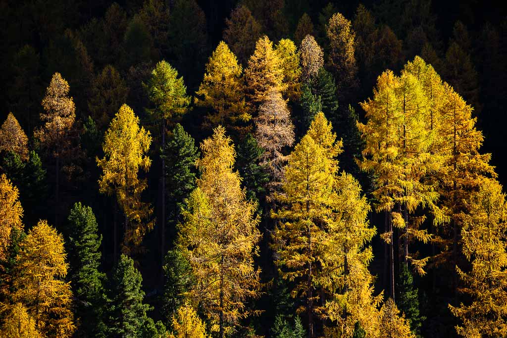I colori dell'autunno