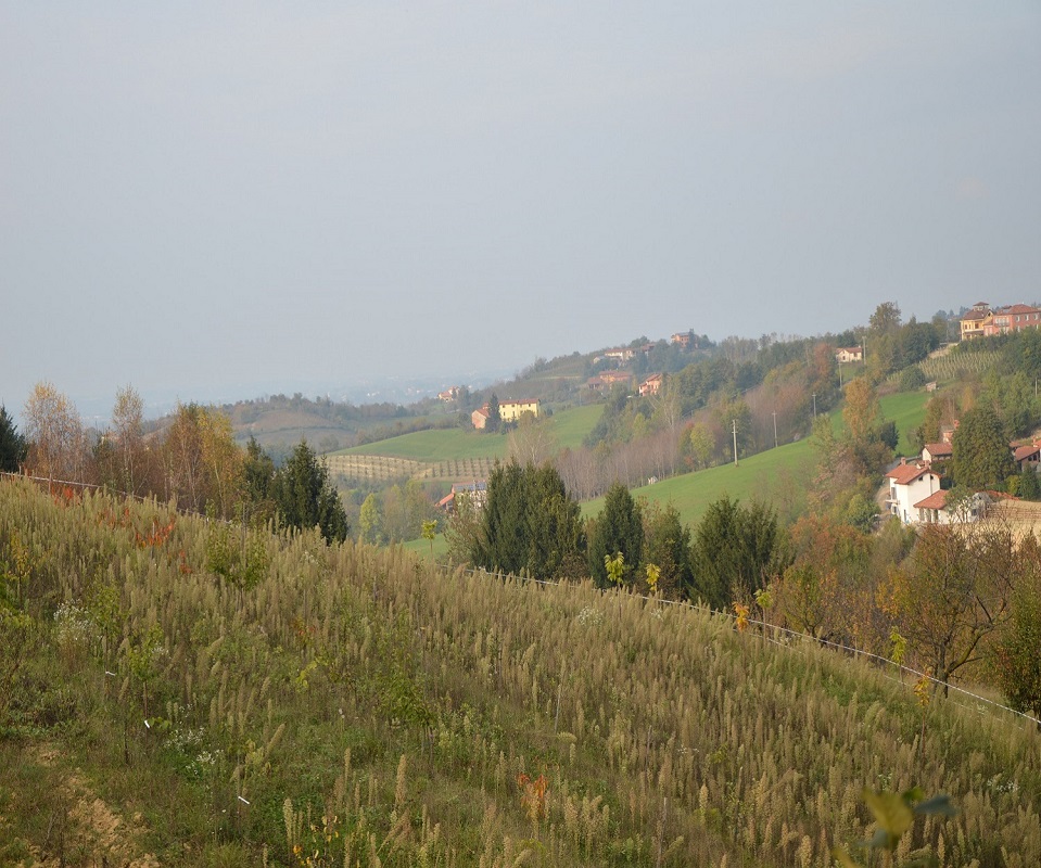 Paesaggio monregalese