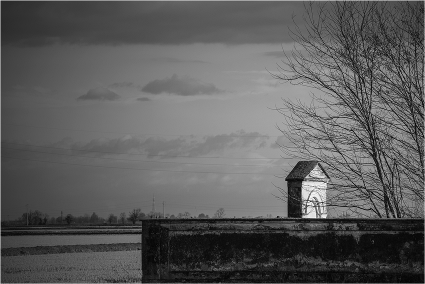 Come un sussurro tra i rami...