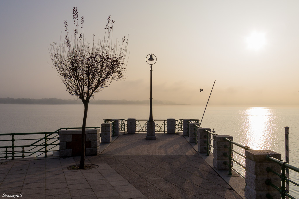 Blinded by the Light