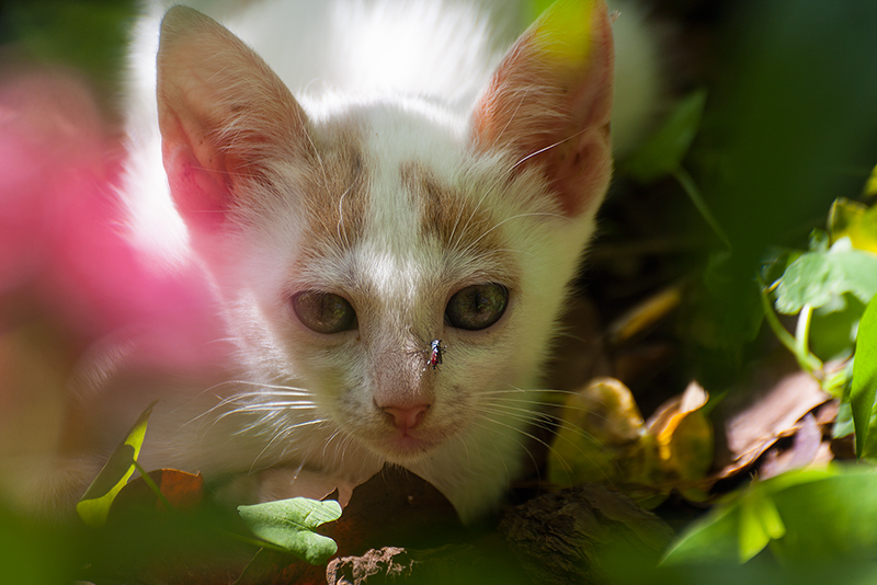 ferma cosi',ho quasi finito