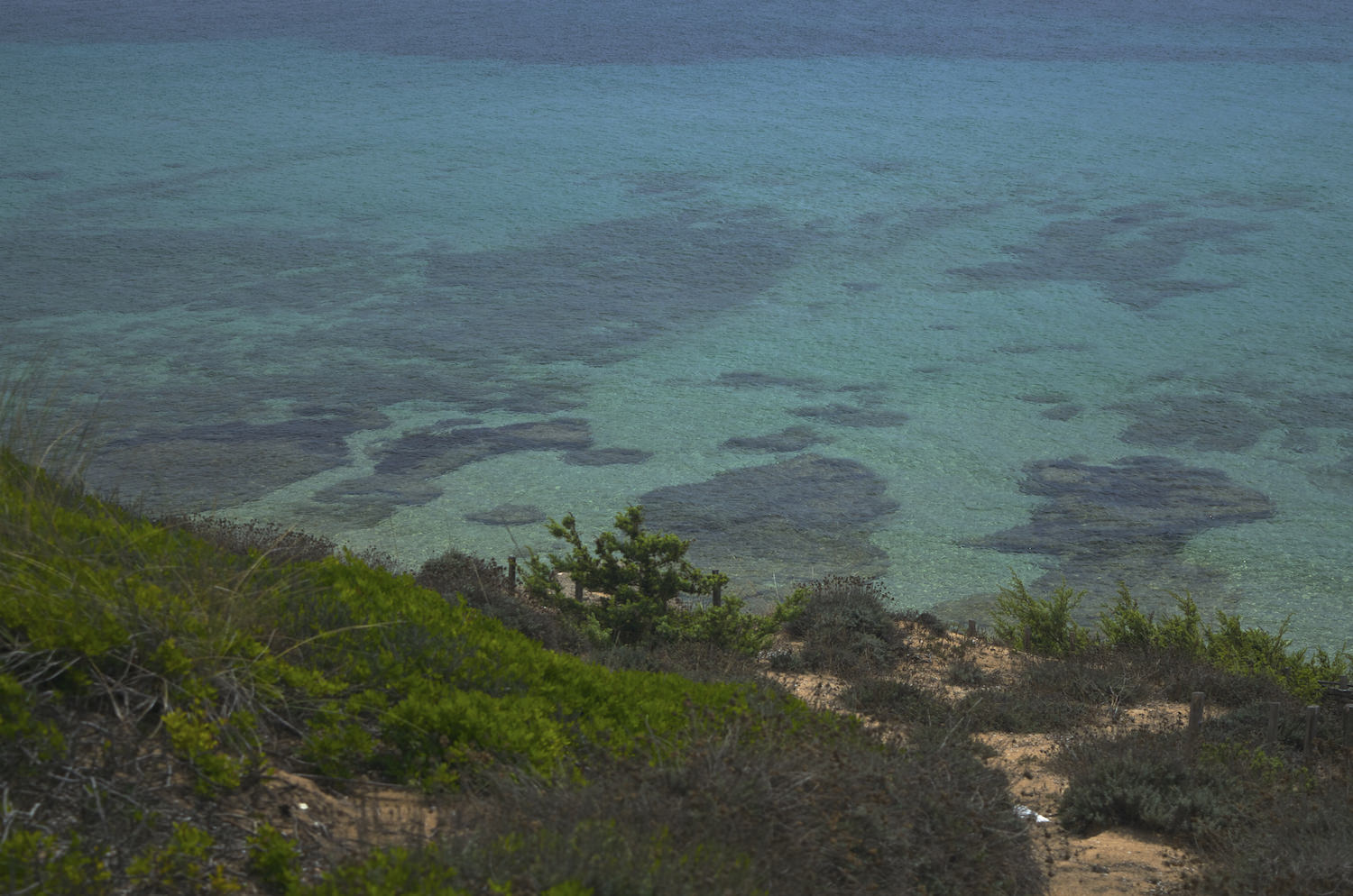 Monaco Mirante | litonanea