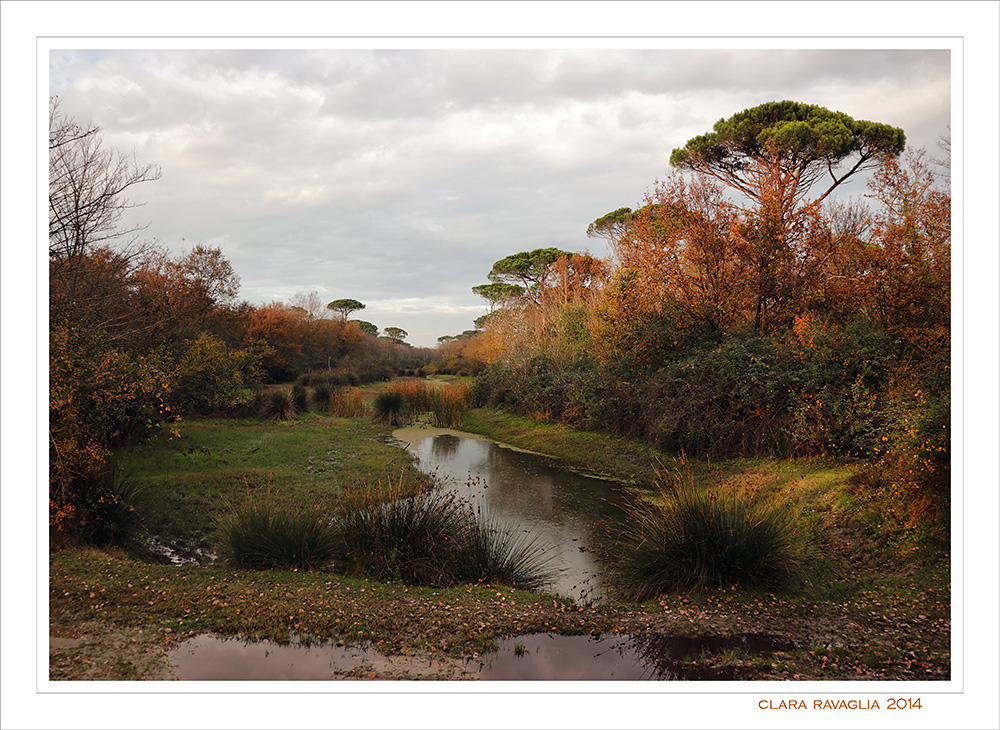 The Byron's place...