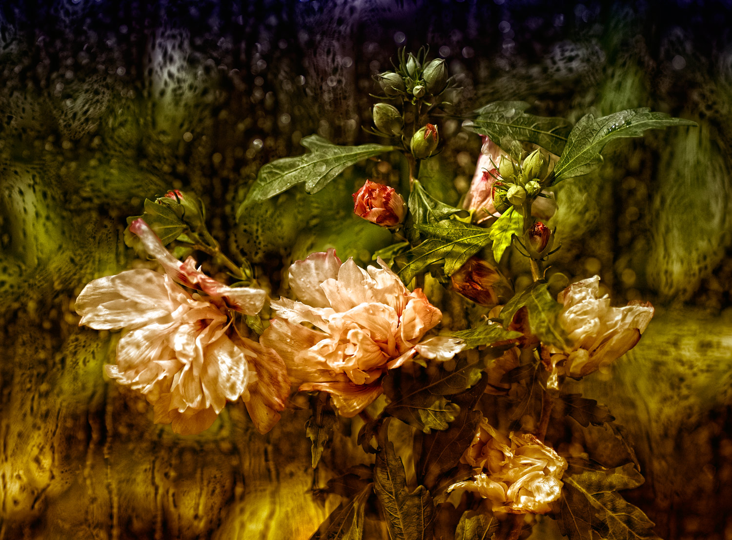 un quasi dipinto....