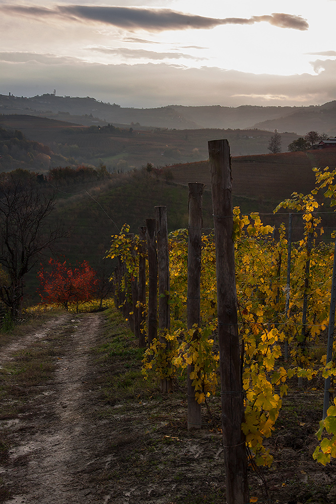 autunno nelle Langhe 3