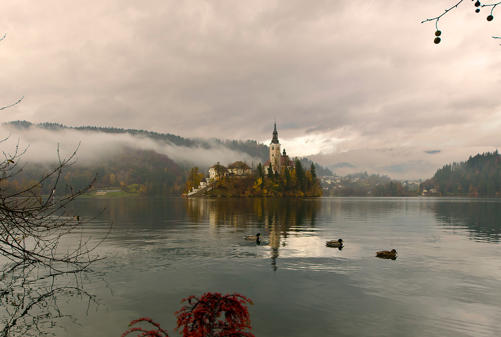 Isola di Bled