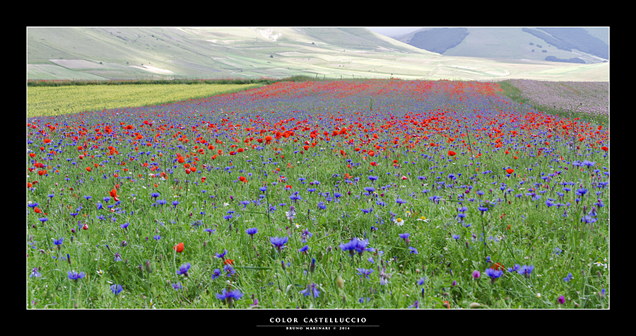 Color Castelluccio