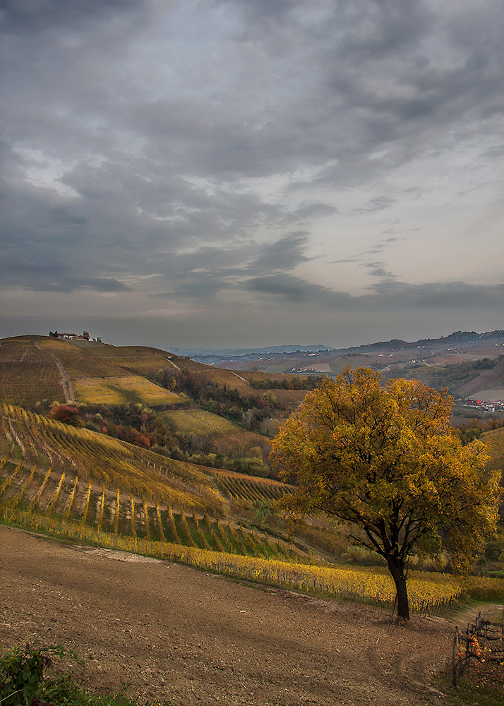 autunno nelle Langhe 5