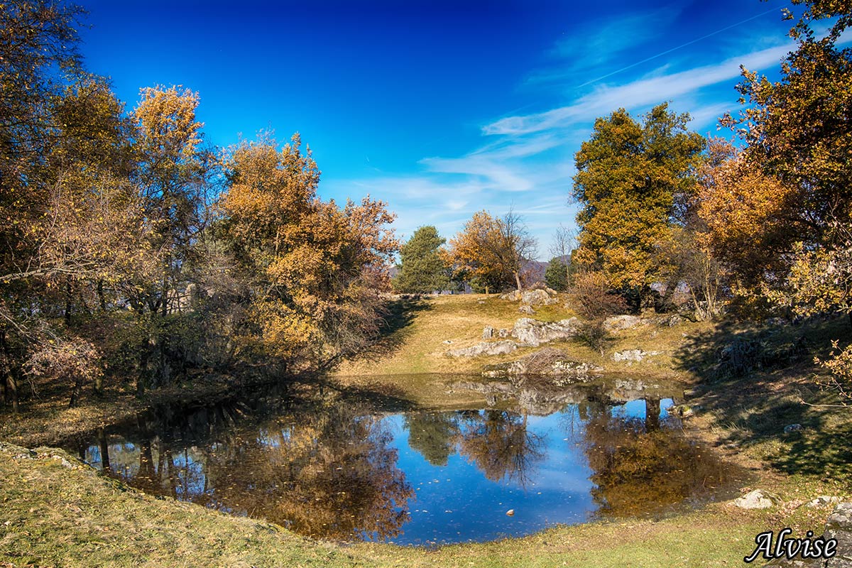 Autunno...allo specchio