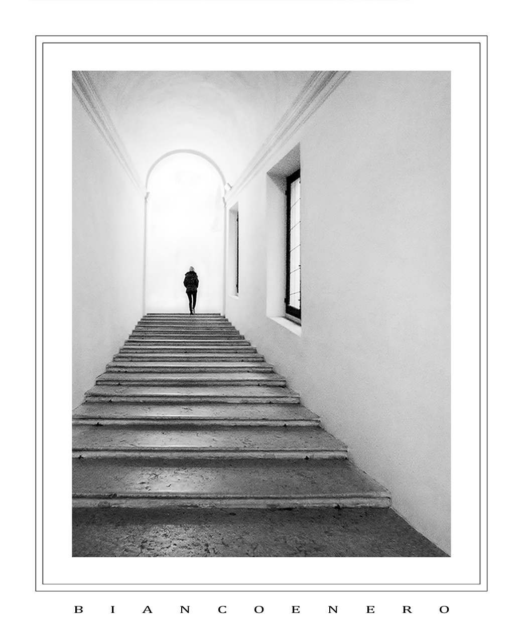 :::  A  D  D  I  O  :::