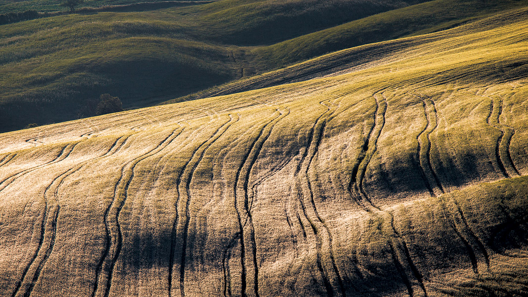 Forme nel grano - Val d' Orcia