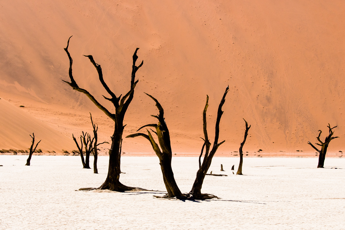 Dead vlei, 3