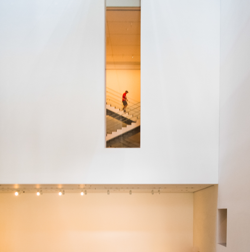 MoMa