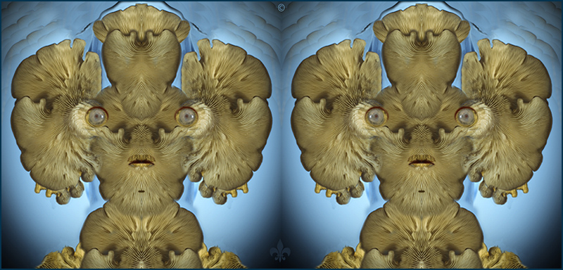 Funghi speciali �20214