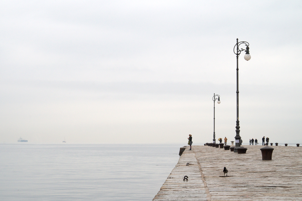 Trieste, novembre 2014