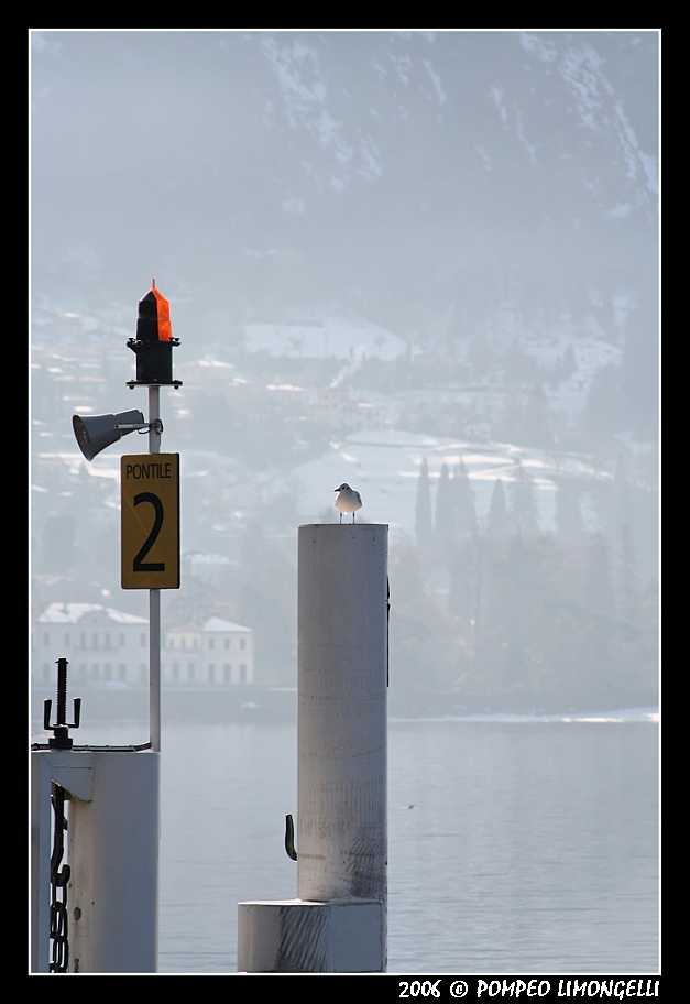 Il Gabbiano all'imbarco
