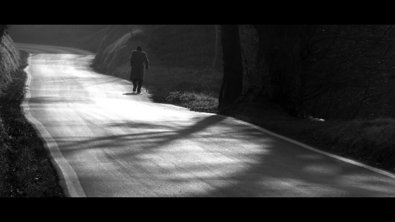 La strada della vita