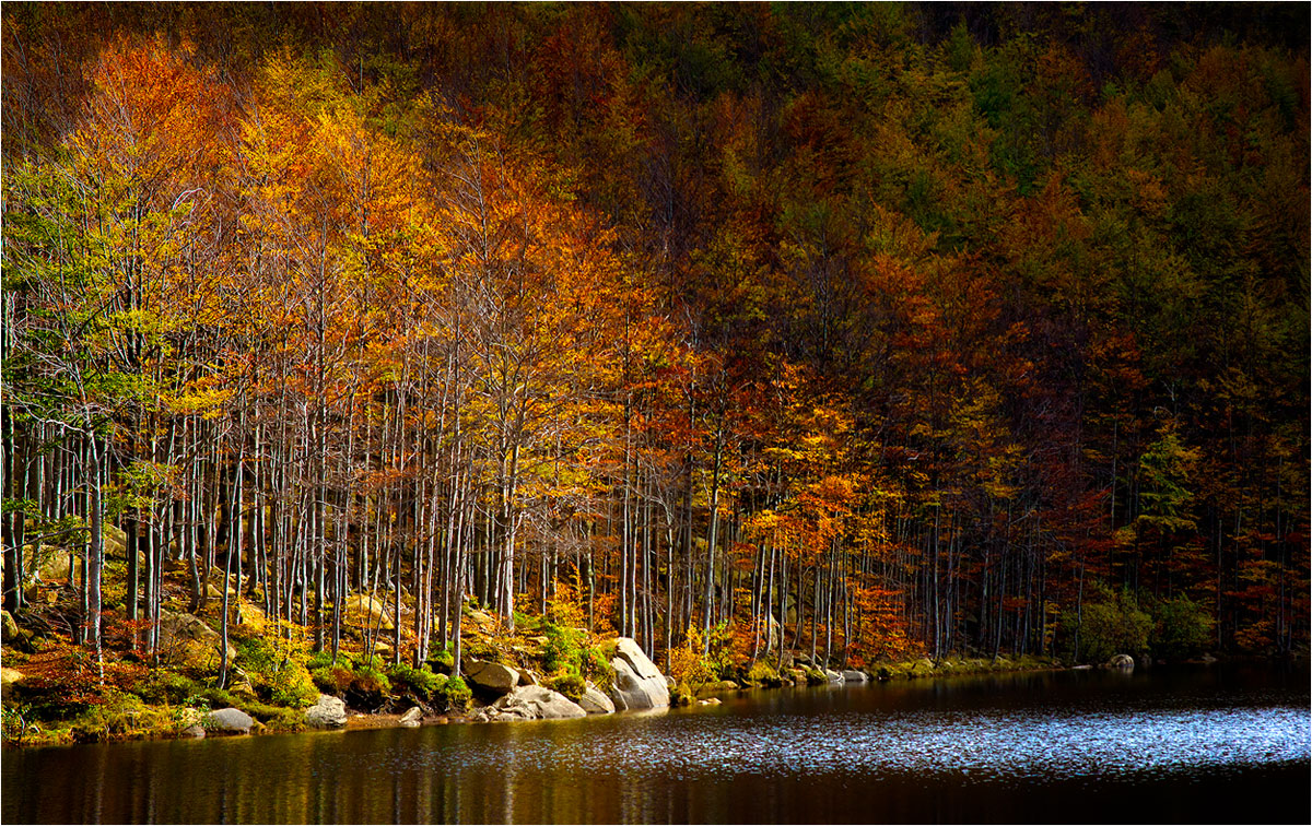 raggio di luce autunnale
