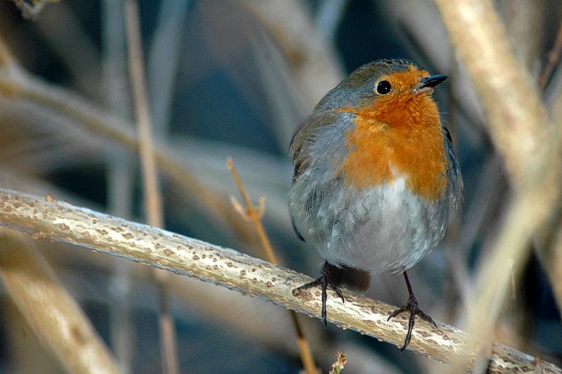 Un mio simpatico amico...