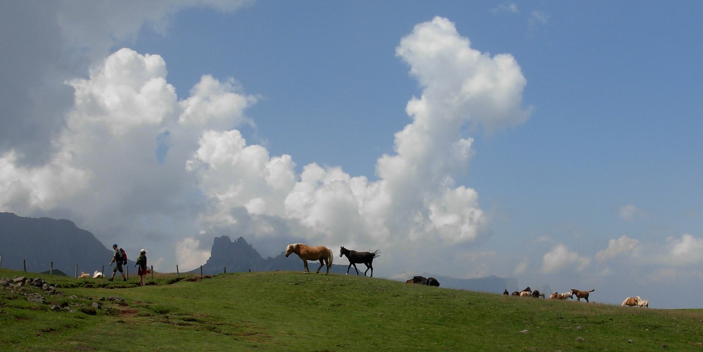 passeggiata in montagna