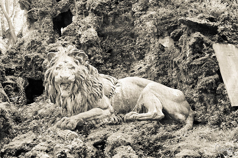 Il silenzio del Leone