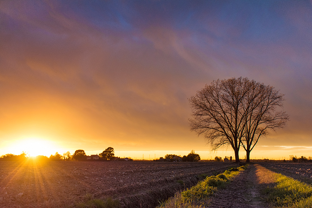 this is time for orange!