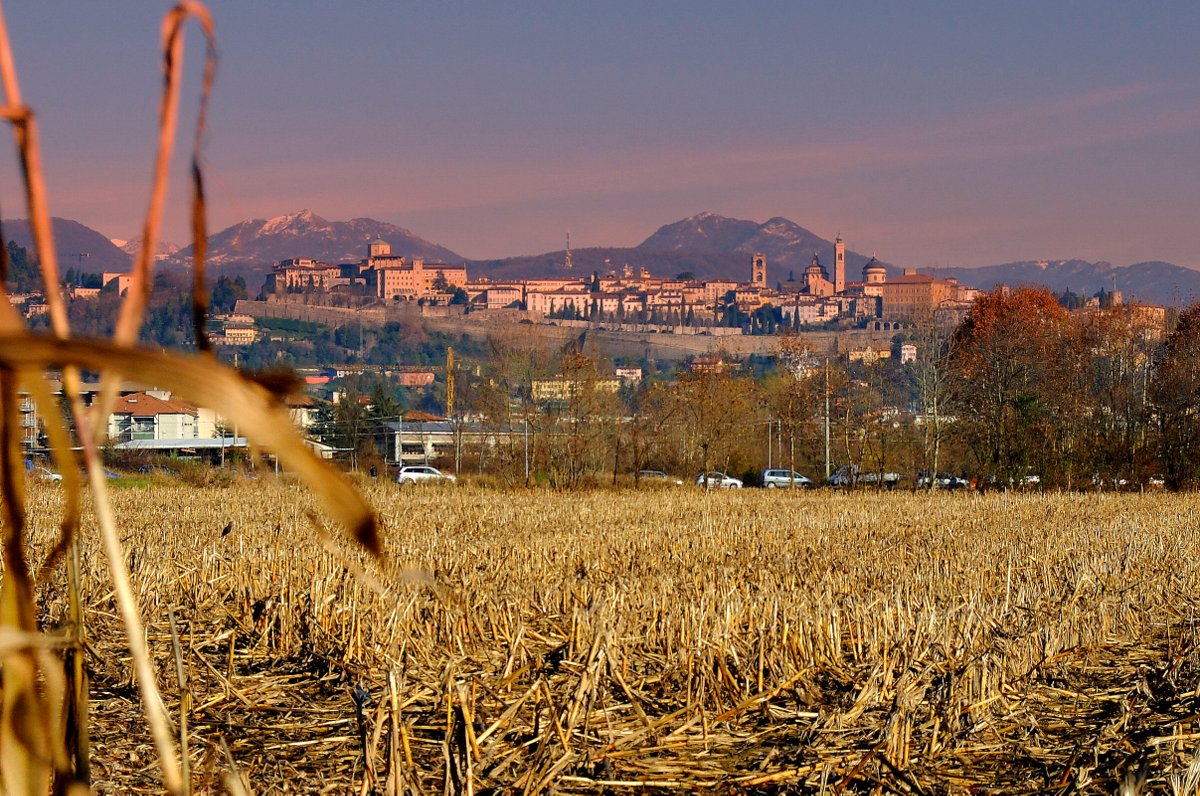Bergamo alta