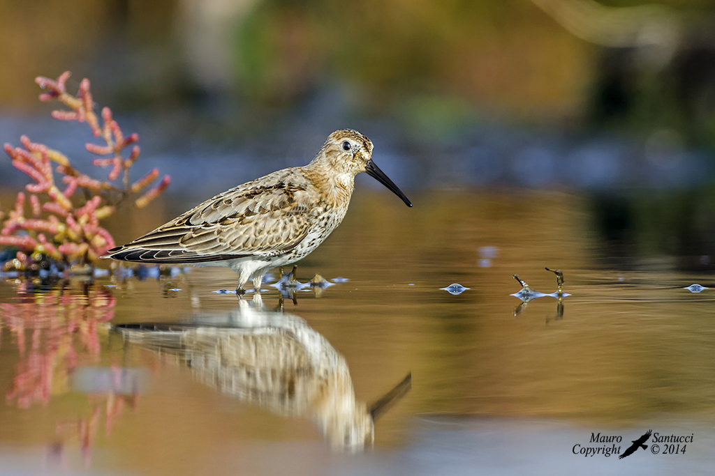 In un mondo a colori