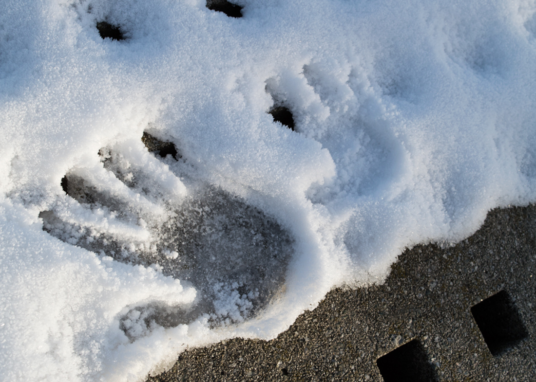 lasciare un'impronta