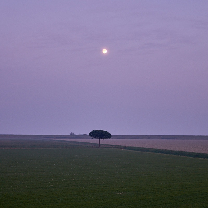 Luna velata presso Santa Giulia