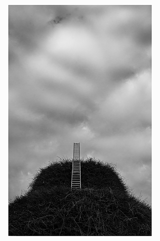 Focara di Sant'Antonio