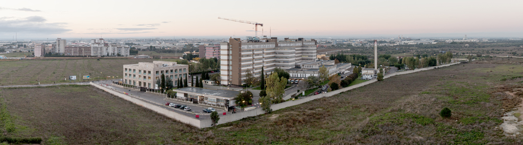 Persistenza e transizione