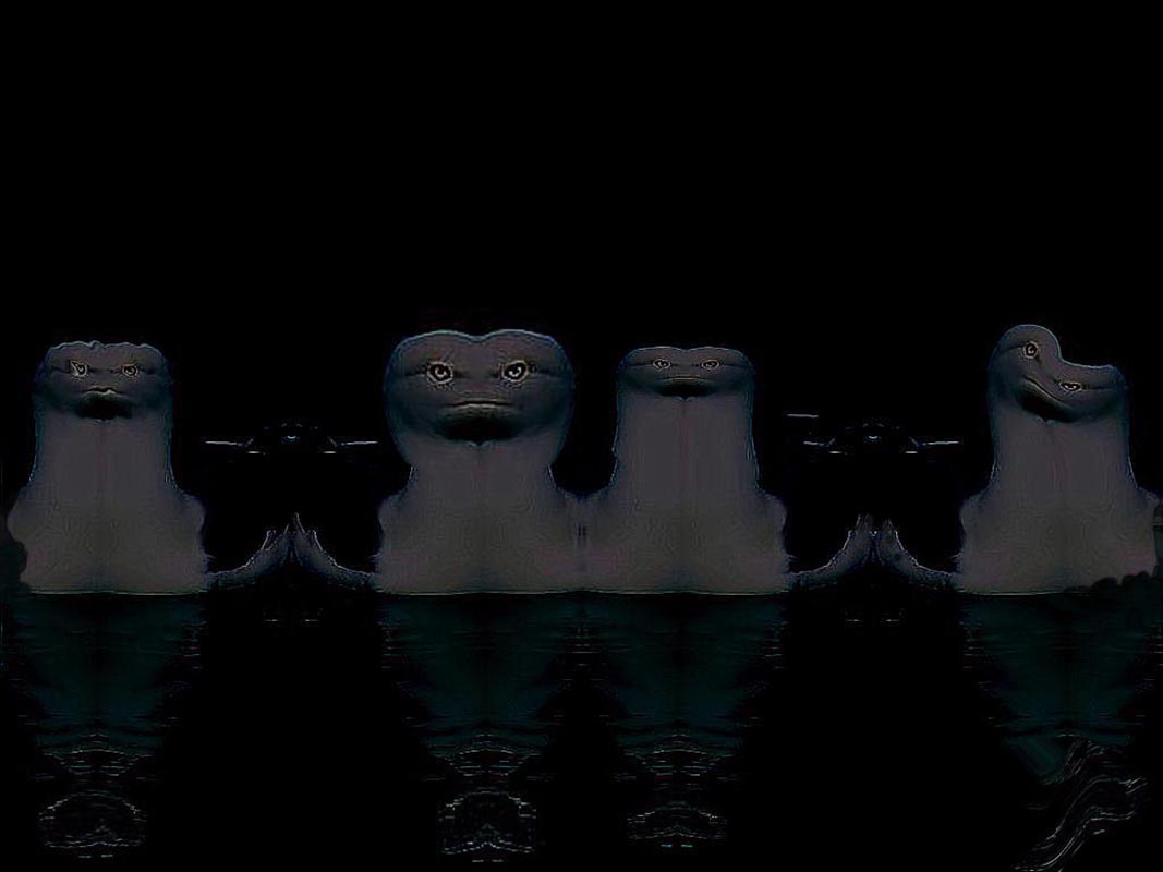 in una tranquilla notte..............