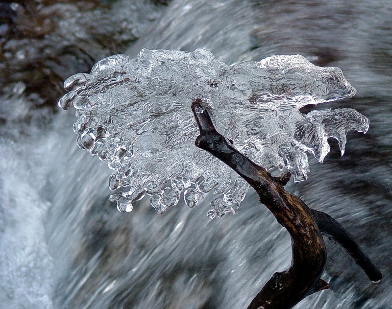 Fiore di ghiaccio...