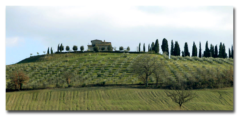 Paesaggio collinare!!!