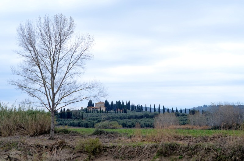 Grosseto, Fattoria di Poggio Cavallo
