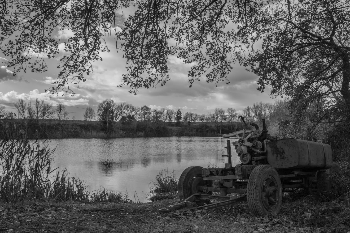 Tra le campagne di Campotino