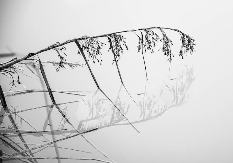 Riflessi in BiancoNero