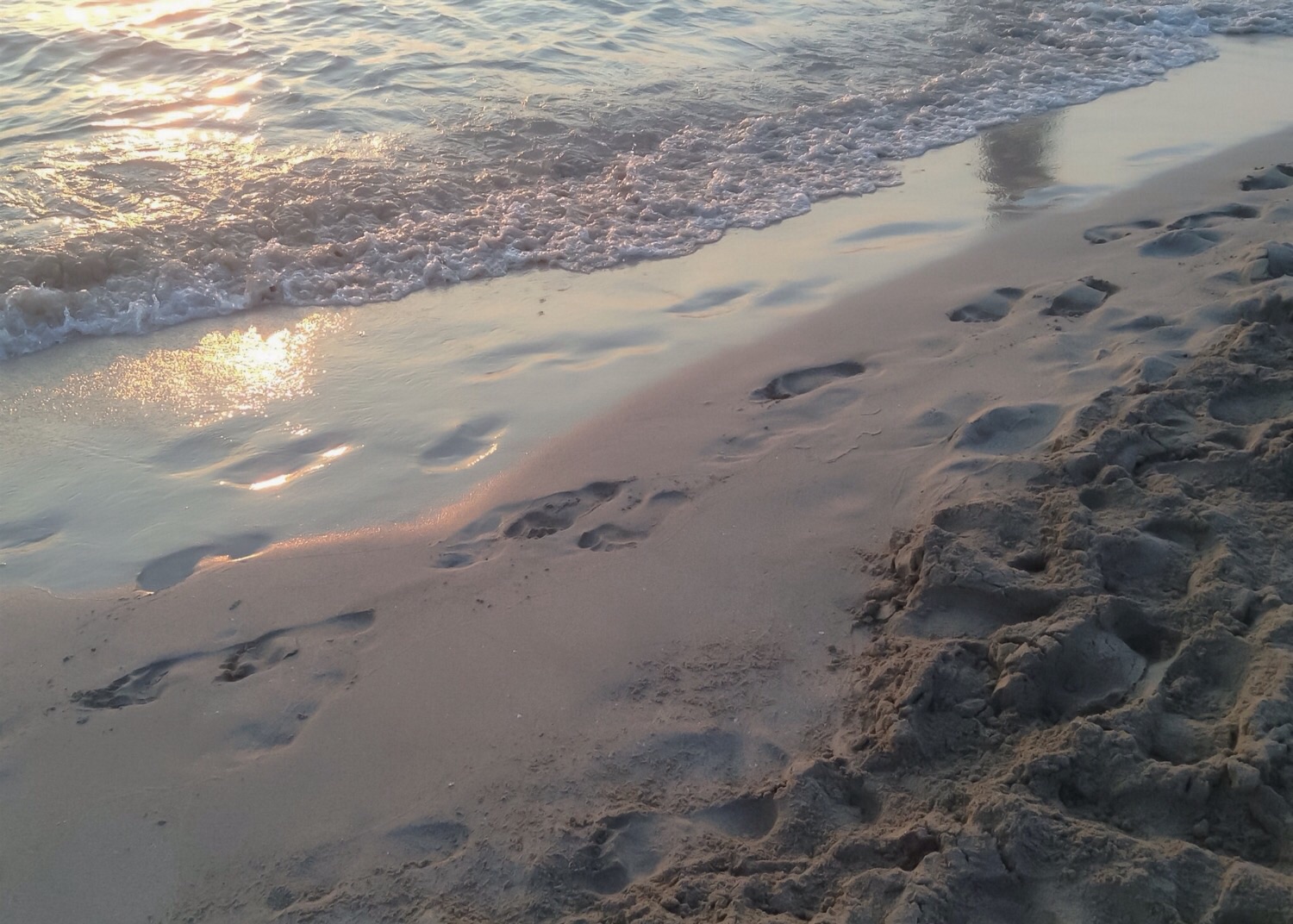 Tra sabbia e mare...