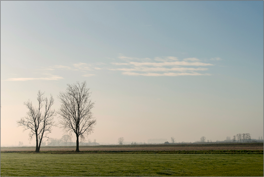 Tutto � chiaro e limpido...