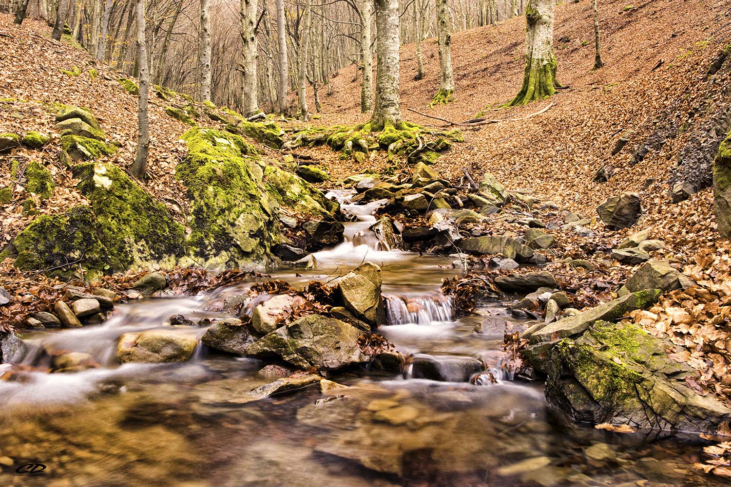 riserva dell'acquerino