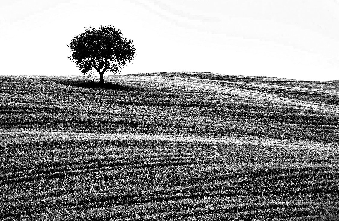 B/N  Val d'Orcia