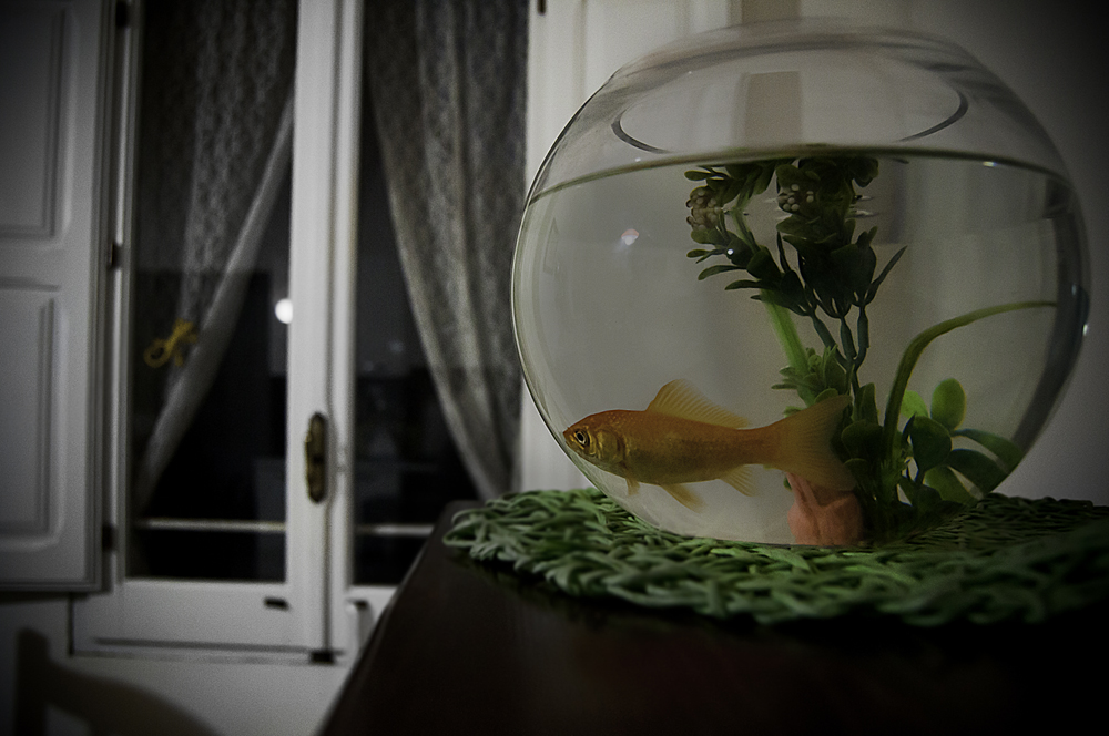 voglia di uscire ...