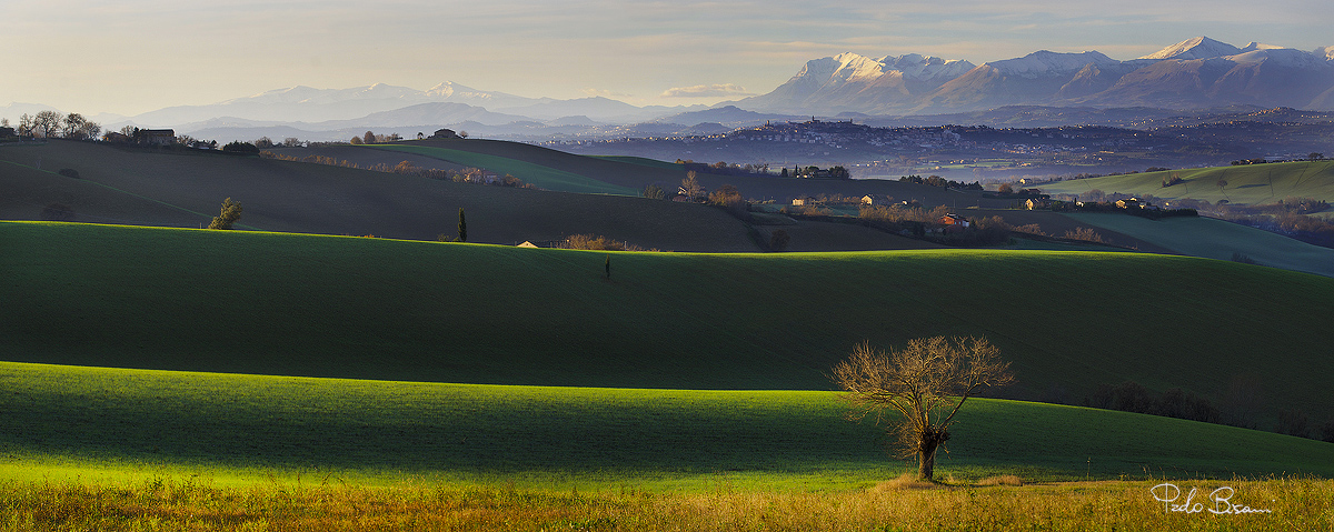 Le Marche
