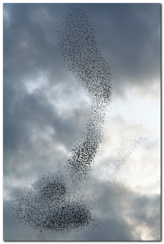 Pattuglia Acrobatica