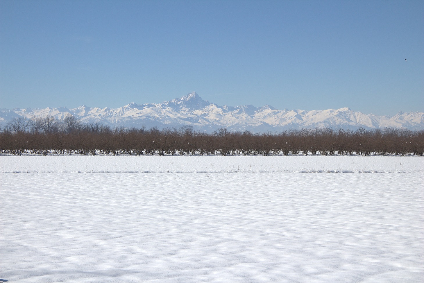 Il Monviso e la pianura bianca
