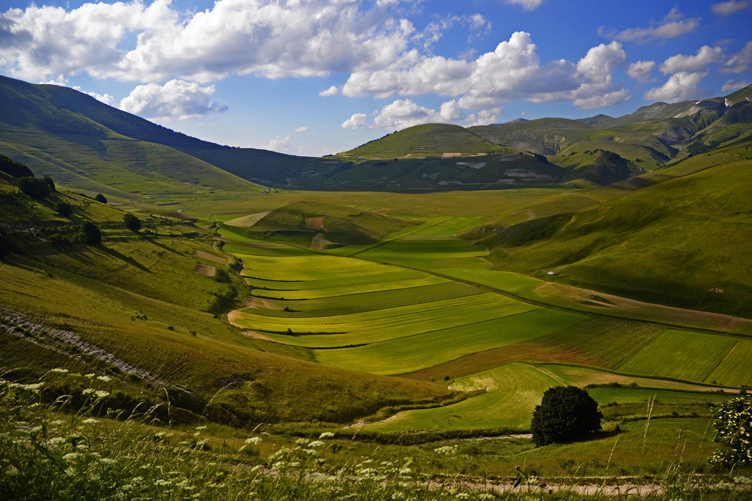 Castelluccio di Norcia