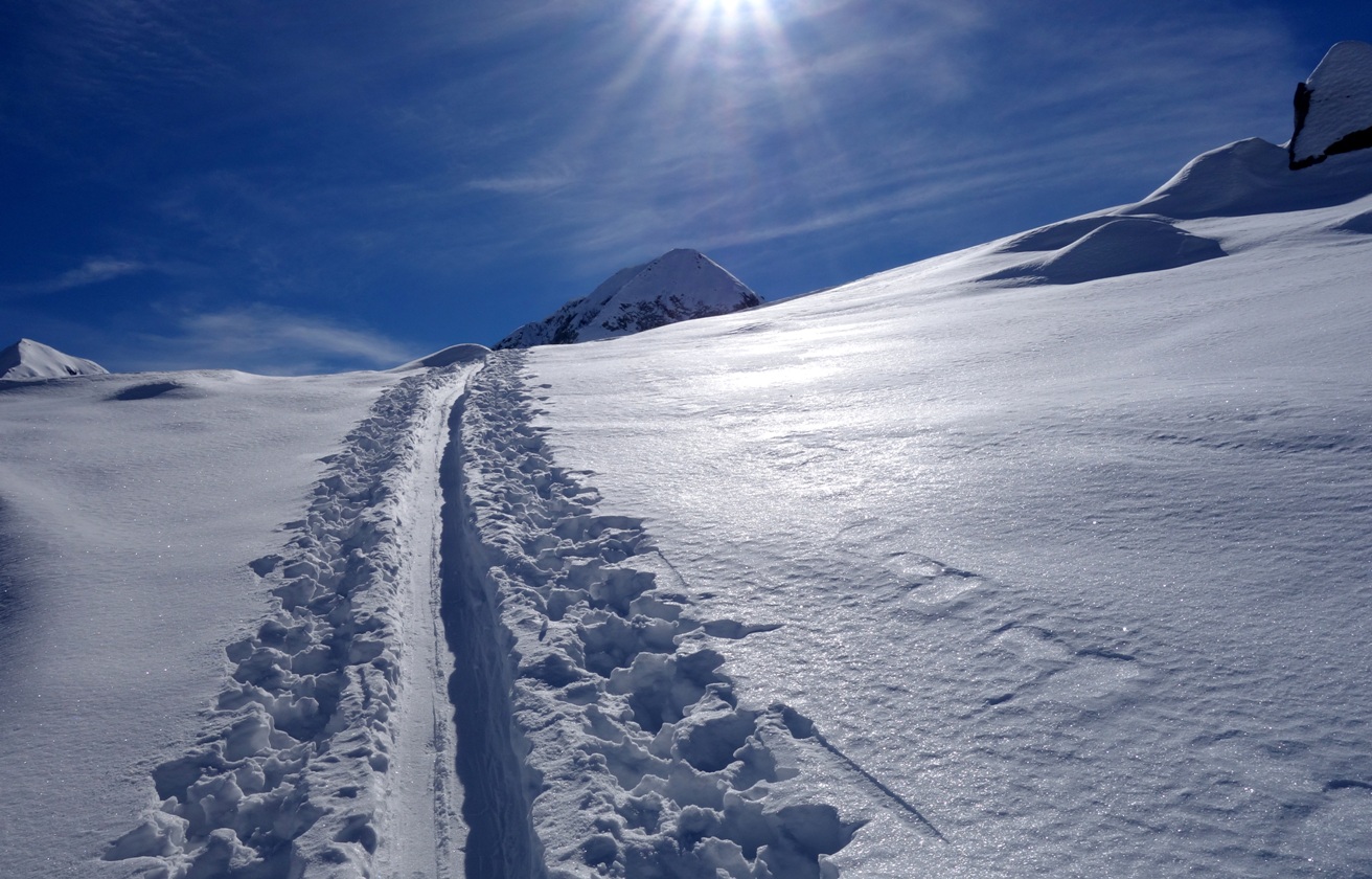 Voglio vivere cos�...col sole in fronte