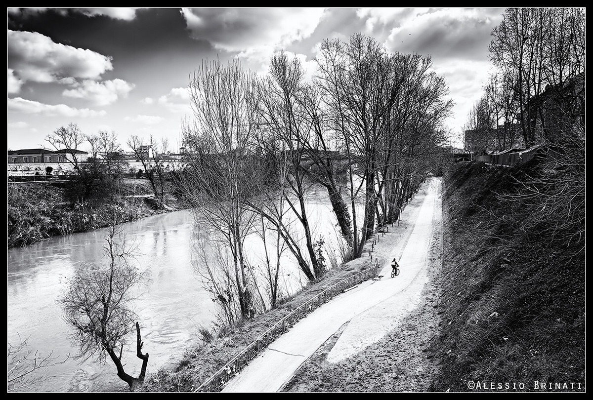 The way of loneliness