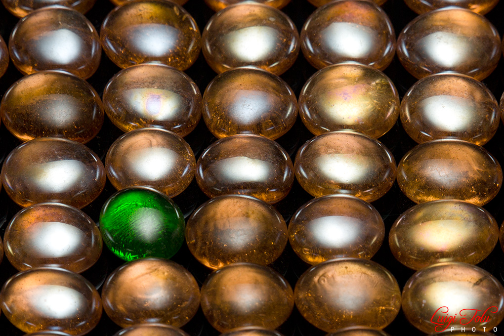 Diversita' o Unicita'?